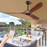 Large Outdoor Ceiling Fans Without Lights